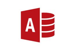 Access Icon